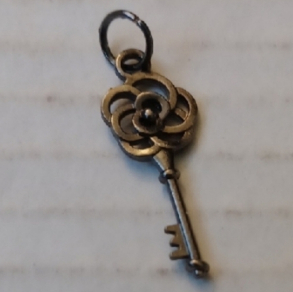 4/$30 New Grayish Bronze Floral Key Charm or Pendant